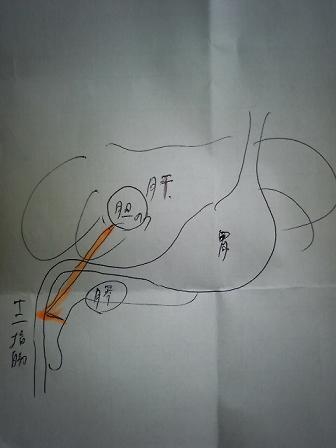 P1003038.JPG