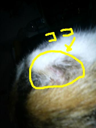 2007.12.22mee21.JPG