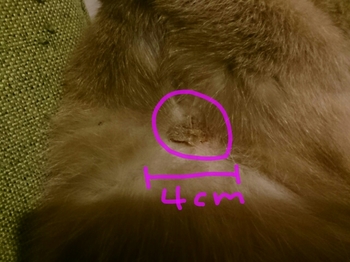20150114220727108.jpg