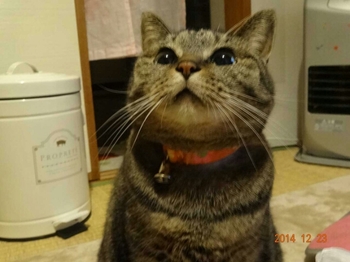 20150114221032730.jpg