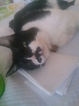 20150427220642939.jpg