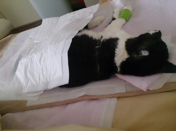 20150507191716038.jpg