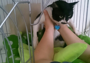 20150508052959959.jpg