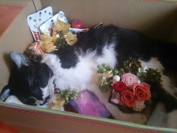 20150508203915427.jpg
