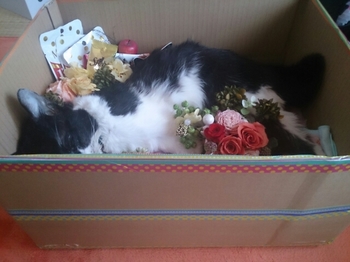 20150508205254839.jpg