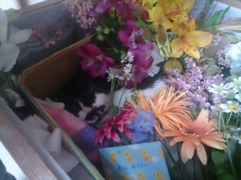 20150510183648959.jpg