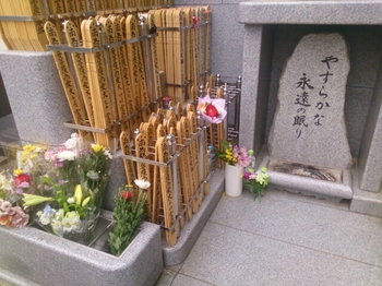 20150510184813921.jpg
