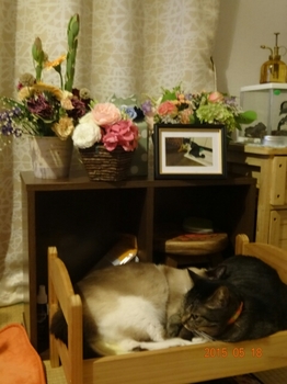 20150518211922760.jpg