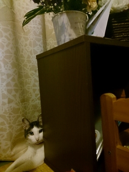 20150518211940955.jpg