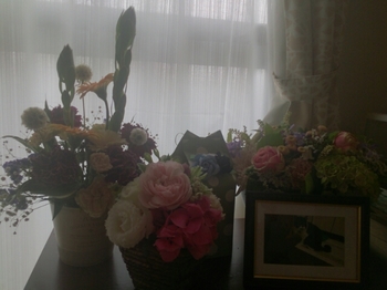 20150518212024157.jpg