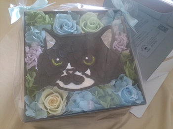 20150521203720958.jpg