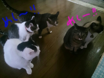20150531214104495.jpg