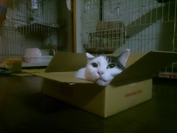 20150531214201178.jpg