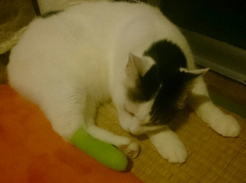 20150605013216939.jpg