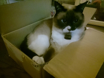 20150605234725917.jpg
