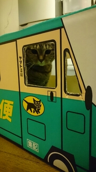 20150703223101527.jpg
