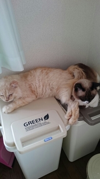 20150719010125586.jpg