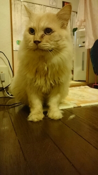 20151008205021531.jpg