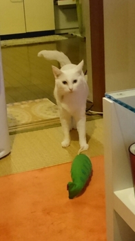 20151008205041045.jpg