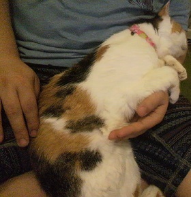 P1001686.JPG