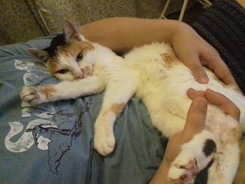 P1001690.JPG