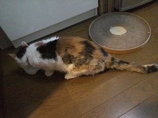 P1001707.JPG