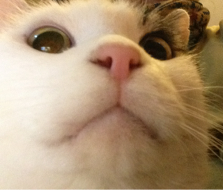 image-20130223182059.png