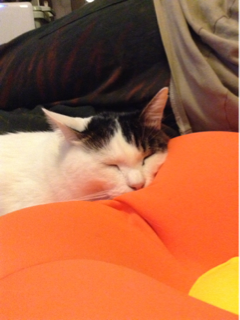 image-20130223182144.png