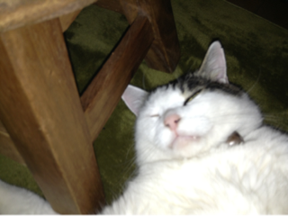image-20130223182352.png