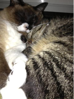 image-20130327034611.png
