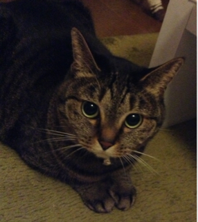 image-20130327035437.png