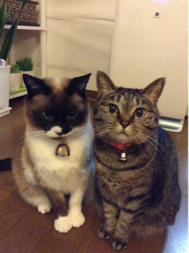 image-20130524003832.png