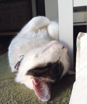 image-20130524003904.png