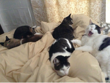 image-20130524003948.png