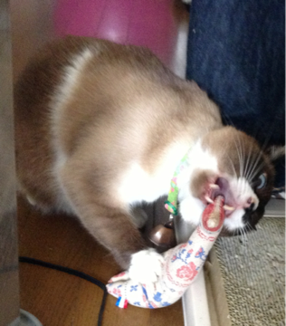 image-20130603135742.png