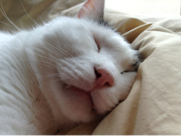 image-20130615141626.png