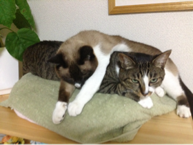 image-20140305202236.png